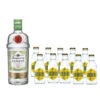 Zitroniges Gin Tonic Set 2,7 Liter