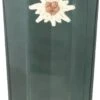 Edelweiss Vodka Pure Fruit 0.7 Liter