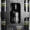 Gansloser Gin & Kingers Tonic Set 1,7 Liter