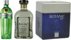 Gin Set - Die Zitrusfrüchte