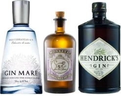 Gin Set Must Be Tasted Small 1,9 Liter