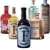 Gin Bundle 6 Flaschen 3,6 Liter