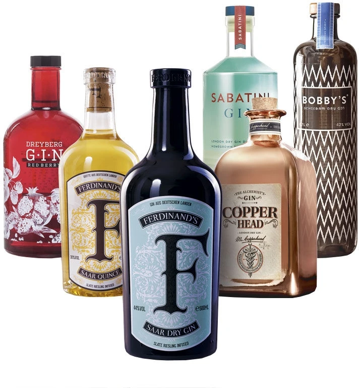 Gin Bundle 6 Flaschen 3,6 Liter