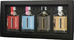 Nginious! Gin Taste Box 4x0,1 Liter